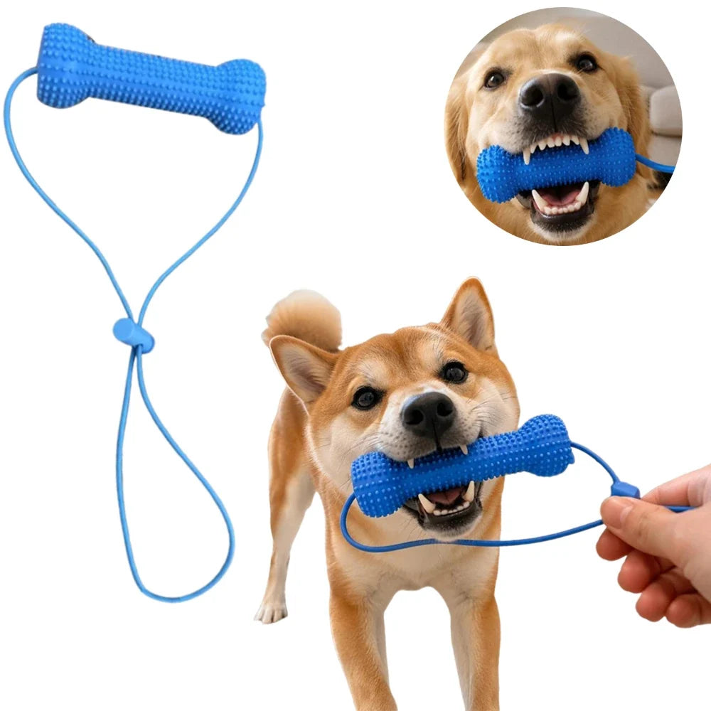 2-in-1 Zahnpflege-Kauspielzeug für Hunde – Zahnbürstenhilfe