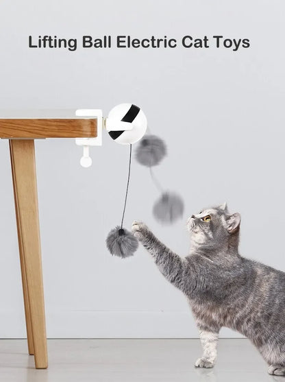 Interaktives Katzenspielzeug mit rotierendem Ball