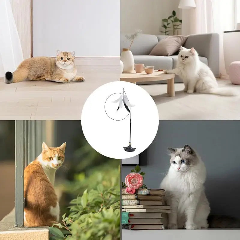 Interaktives Katzen Spielzeug mit Saugnapf