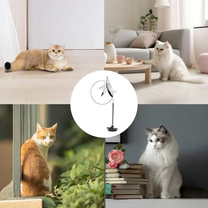 Interaktives Katzen Spielzeug mit Saugnapf