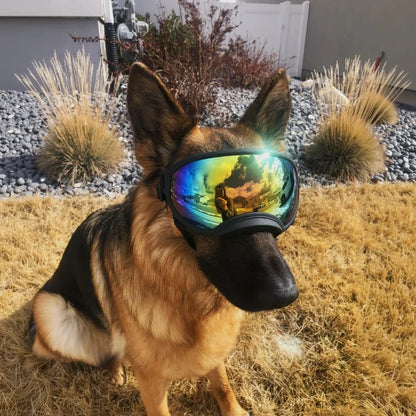 PawShield Hunde-Schutzbrille mit UV-Schutz