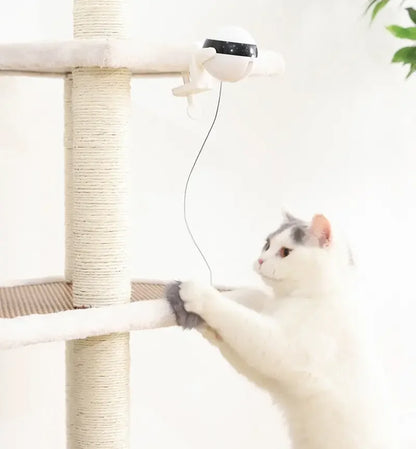 Interaktives Katzenspielzeug mit rotierendem Ball
