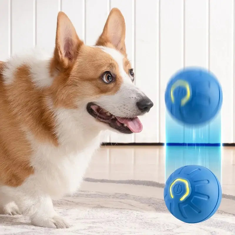 Interaktiver Springball für Hunde
