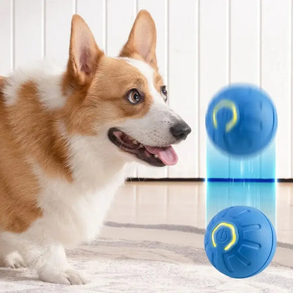 Interaktiver Springball für Hunde