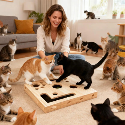 KratzNest Katzen Kratzbox