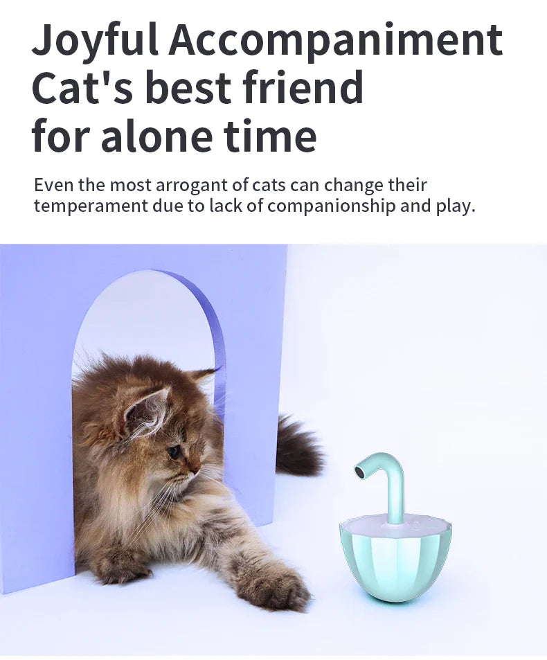 Intelligentes Laser Katzenspielzeug