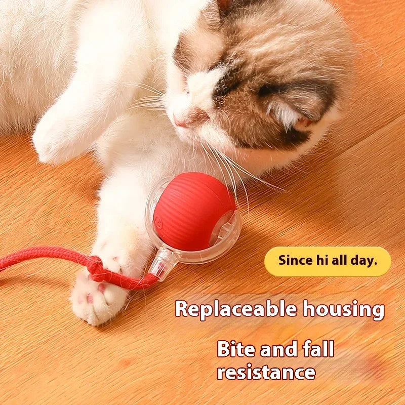Interaktiver Spielball für Hunde & Katzen