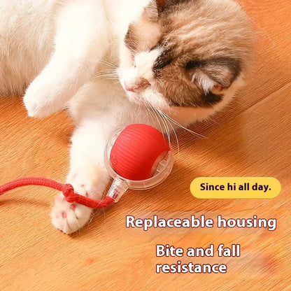 Interaktiver Spielball für Hunde & Katzen