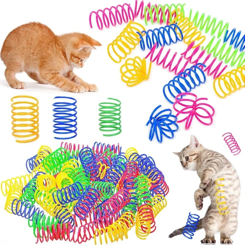 Bunte Katzen-Spiralfedern für drinnen