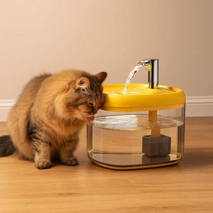 Katzen Trinkbrunnen