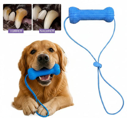 2-in-1 Zahnpflege-Kauspielzeug für Hunde – Zahnbürstenhilfe