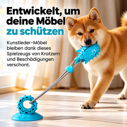 ZerrMeister – Zerrspielzeug mit Saugnapf 🐶💪