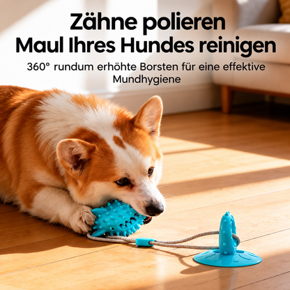 ZerrMeister – Zerrspielzeug mit Saugnapf 🐶💪